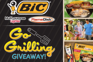 bic-go-grilling