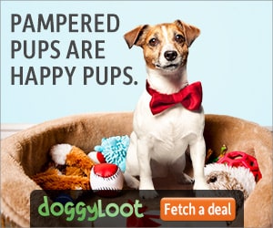 Get Discounted Dog Supplies With Doggy Loot