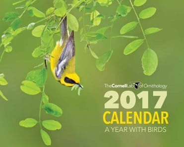 Free Calendar 2017
