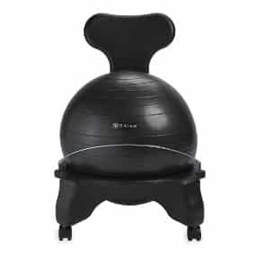 Gaiam Balance Ball Chairs